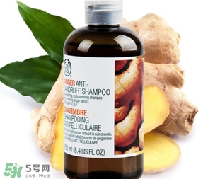 美體小鋪生姜洗發(fā)水怎么樣？the body shop生姜洗發(fā)水使用心得