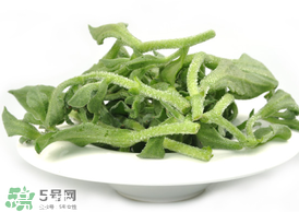 ?冰草為什么會(huì)酸？冰草為什么是酸的？