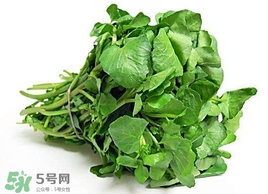 哺乳期能吃西洋菜嗎？哺乳期可以吃西洋菜嗎