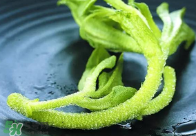 冰草吃了有什么好處？冰草的營養(yǎng)價值