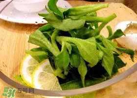 冰草用什么醬？冰草用什么醬好吃？