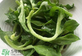 冰菜為什么會(huì)酸？冰菜為什么是咸的？