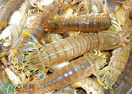 蝦爬子能冷凍嗎？蝦爬子可以冷藏嗎？