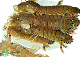 蝦爬子能冷凍嗎？蝦爬子可以冷藏嗎？