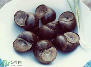 田螺不能和什么一起吃？田螺和什么不能一起吃？