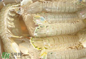 蝦爬子綠色怎么回事？蝦爬子變黑還能吃嗎？