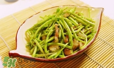 蘆蒿與茼蒿有什么區(qū)別？蘆蒿和茼蒿的區(qū)別