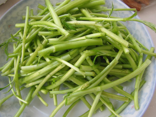 蘆蒿是發(fā)物嗎？蘆蒿是不是發(fā)物