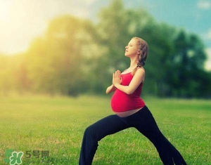 孕婦能吃雞精嗎？孕婦能吃雞精和味精嗎？