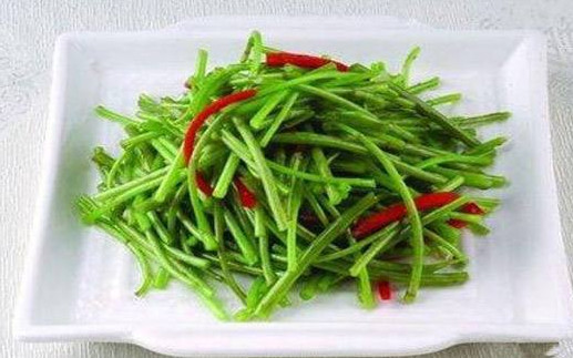 蘆蒿是發(fā)物嗎？蘆蒿是不是發(fā)物