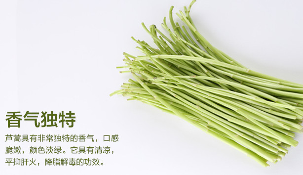蘆蒿是發(fā)物嗎？蘆蒿是不是發(fā)物