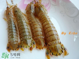 蝦爬子能放多久？蝦爬子怎么保存時間長？