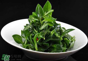 冰草是田七嗎？冰草和田七一樣嗎？