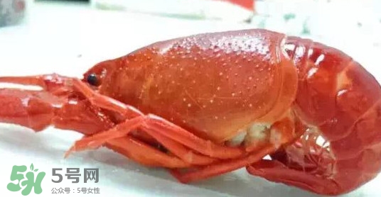 蝦子哪些部位不能吃？蝦子哪些地方不能吃