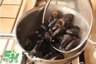 青口貝如何清洗？青口貝怎么處理