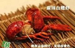 蝦子怎么吃？蝦子的吃法