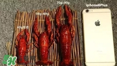 蝦子怎么吃？蝦子的吃法