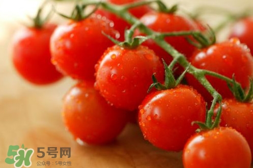 小番茄怎么洗？小番茄怎么清洗
