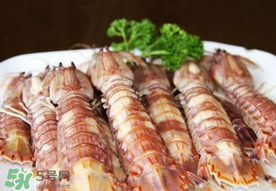 蝦爬子是寒性的嗎？蝦爬子是熱性的還是寒性的？