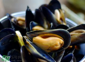海虹里面的黑包能吃嗎？海虹里面的黑的能吃嗎？