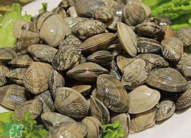蜆子不能和什么一起吃？吃蜆子不能吃什么？