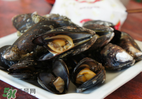 淡菜什么時(shí)候最肥？淡菜什么時(shí)候吃最好？