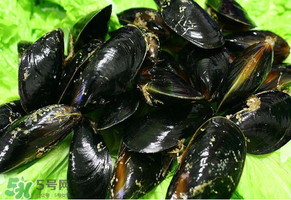 哪些人不適合吃淡菜？淡菜什么人不能吃？