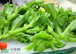冰菜孕婦能吃嗎？孕婦能不能吃冰菜？