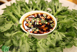 冰菜怎么涼拌？冰菜可以用沙拉醬拌嗎？