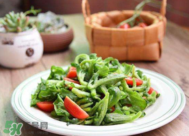 冰菜怎么涼拌？冰菜可以用沙拉醬拌嗎？