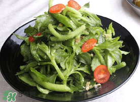 冰菜怎么涼拌？冰菜可以用沙拉醬拌嗎？