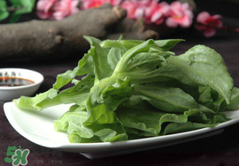 冰菜可以生吃嗎？冰菜能生吃嗎？