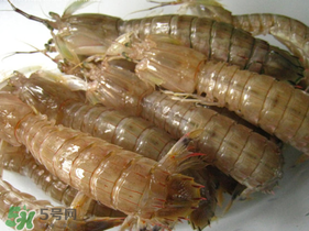 瀨尿蝦是皮皮蝦嗎？瀨尿蝦和皮皮蝦的區(qū)別