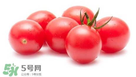怎樣種植小番茄？小番茄怎么種