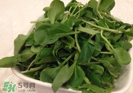 雞毛菜怎么做？雞毛菜的做法