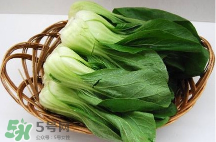 雞毛菜怎么種？雞毛菜的種植方法