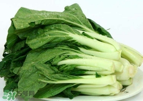 雞毛菜怎么做？雞毛菜的做法