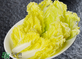 蠶豆和白菜能一起吃嗎？白菜和蠶豆能在一起吃嗎？
