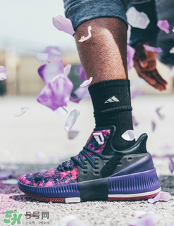 adidas dame3新配色多少錢(qián)？阿迪達(dá)斯利拉德三代花城玫瑰專(zhuān)柜價(jià)格