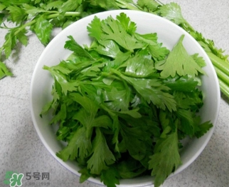 芹菜葉怎么吃？芹菜葉吃法