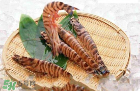 蝦爬子怎么扒皮？蝦爬子怎么剝殼？