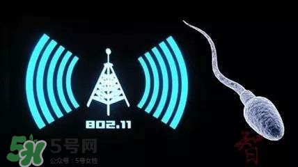 wifi殺精嗎？wifi殺精是真的嗎？