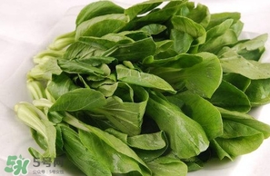 雞毛菜怎么做？雞毛菜的做法