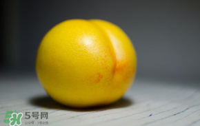 黃金油桃多少錢一斤？黃金油桃什么時候成熟？