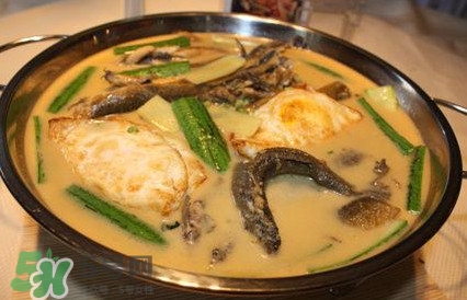 泥鰍是魚(yú)嗎？泥鰍是海鮮嗎