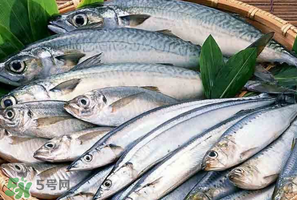 2017鲅魚多少錢一斤？鲅魚多少錢一斤2017？