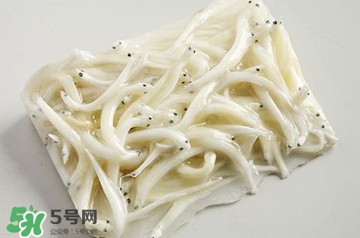面條魚(yú)是什么魚(yú)？面條魚(yú)是海水魚(yú)嗎
