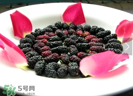覆盆子是桑葚嗎？覆盆子和桑葚的區(qū)別