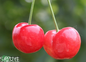 櫻桃籽有毒嗎？櫻桃籽能吃嗎？