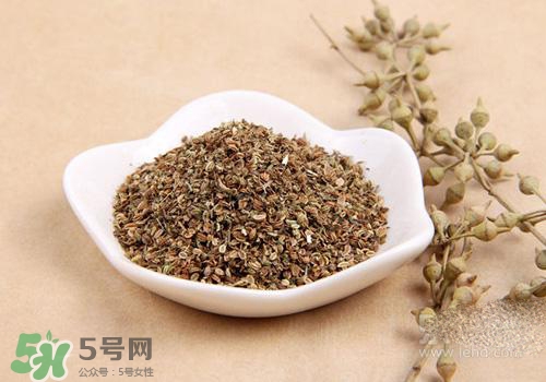 吃中藥可以吃魚？吃中藥吃魚會(huì)怎么樣？